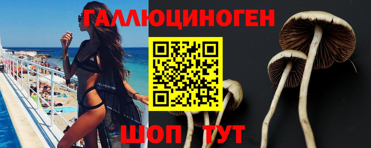 Псилоцибиновые грибы мухоморы Набережные Челны